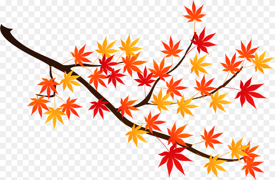 Maple Autumn Leaves Clipart, Leaf, Plant, Tree Png