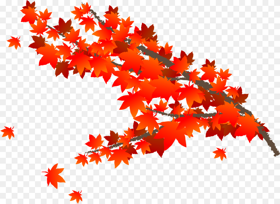 Maple Autumn Leaves Clipart, Leaf, Plant, Tree, Maple Leaf Free Png Download