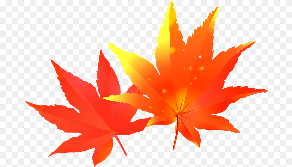 Maple Autumn Leaves Clipart Autumn Leaf Color, Plant, Tree, Animal, Fish Free Transparent Png