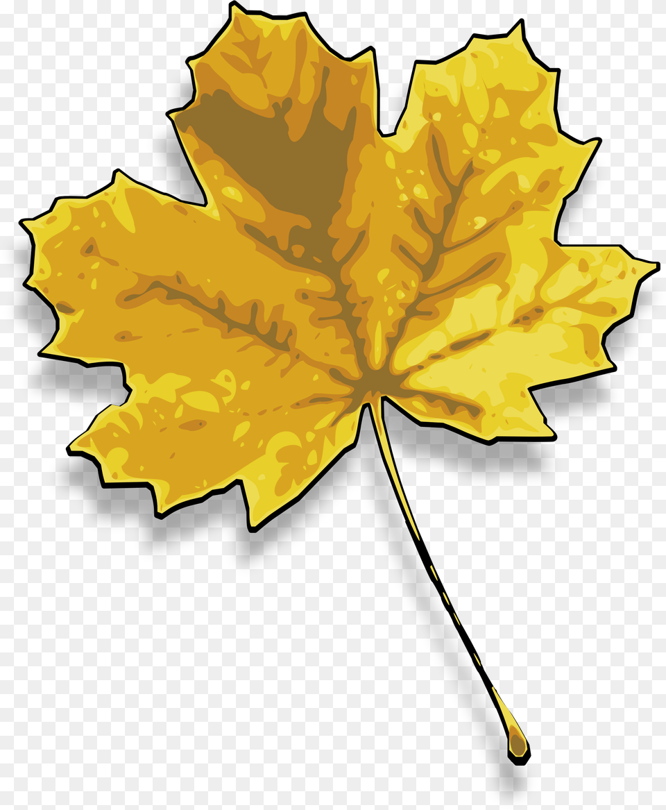 Maple Clipart Dry Leaf Dried Leaf Clip Art, Maple Leaf, Plant, Tree Free Png