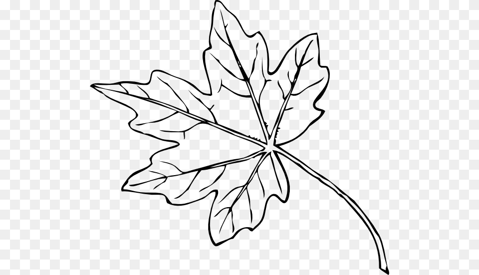 Maple Fall Leaves Clip Art, Leaf, Maple Leaf, Plant, Tree Png
