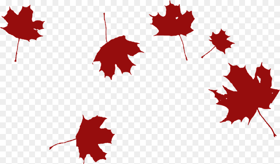 Maple Falling Wind Vector Graphic On Pixabay Grape Leaf Clip Art, Plant, Tree, Maple Leaf, Person Free Png