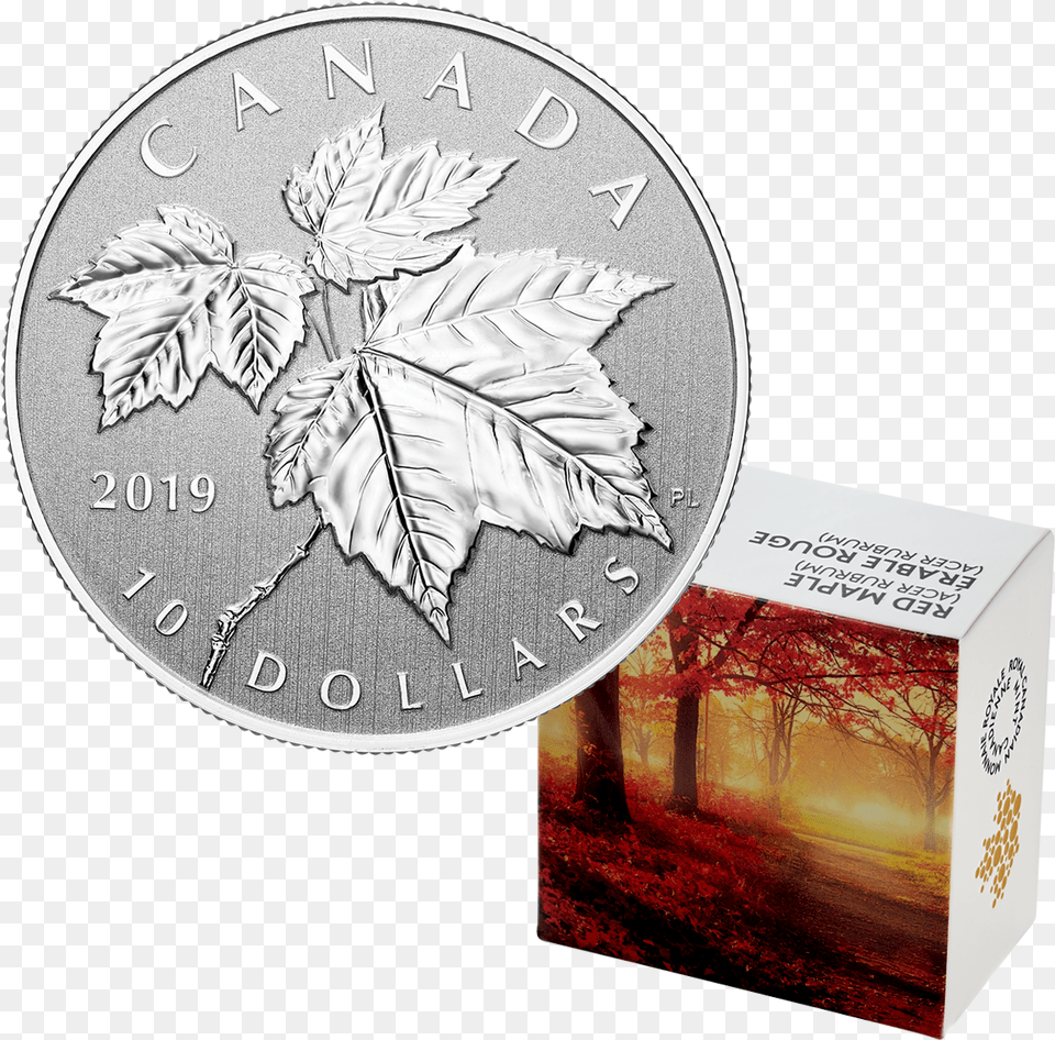 Maple Leaf 1 2 Oz Silber, Plant, Silver, Coin, Money Png Image
