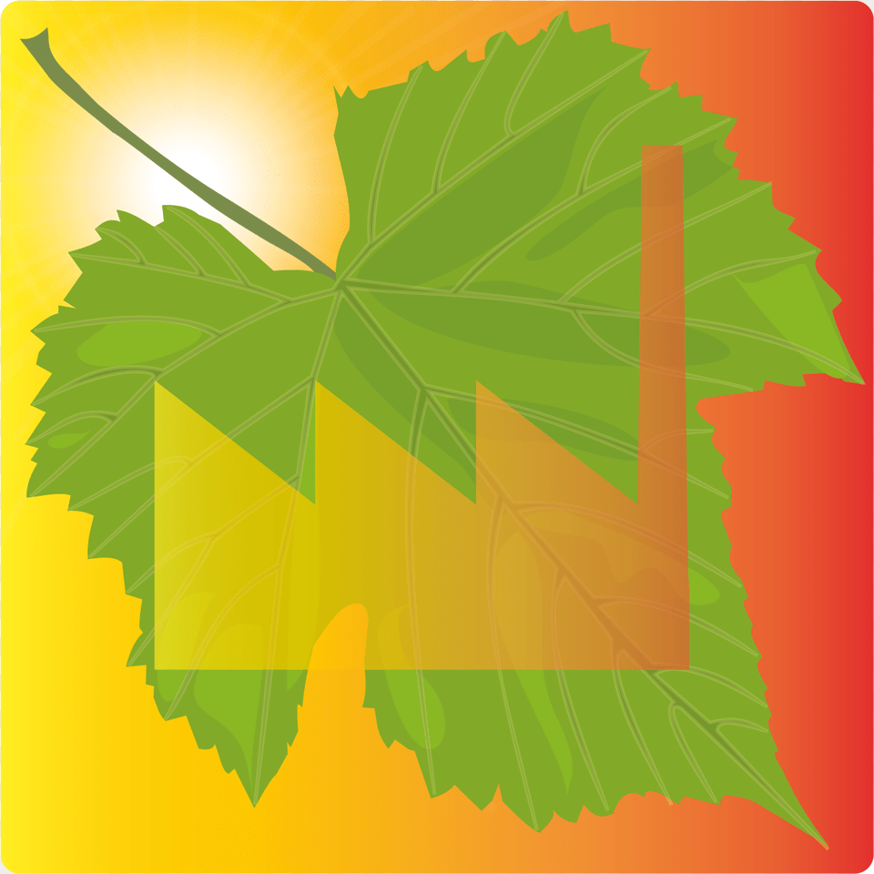 Maple Leaf, Plant, Tree, Sunlight Free Png Download