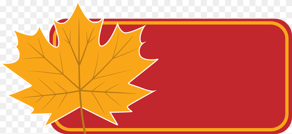 Maple Leaf, Maple Leaf, Plant, Tree Png Image