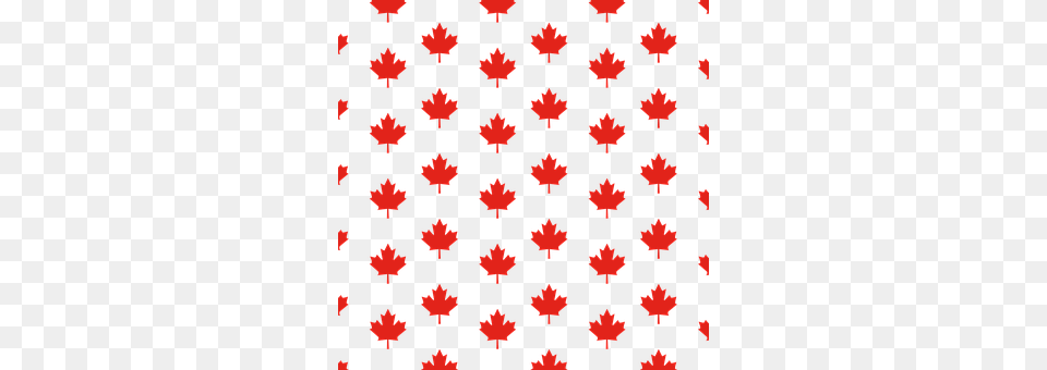 Maple Leaf Home Decor, Pattern, Plant, Texture Free Png Download