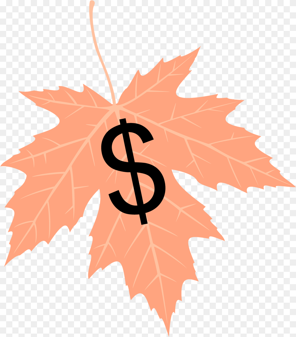 Maple Leaf, Plant, Tree, Person, Maple Leaf Free Transparent Png