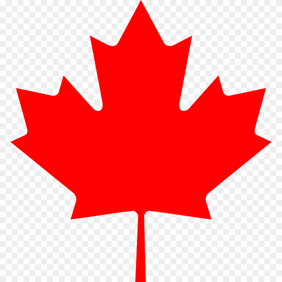 Maple Leaf, Maple Leaf, Plant, Tree Free Png