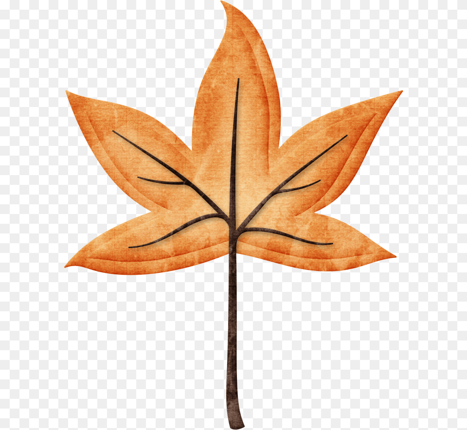 Maple Leaf, Plant, Tree, Cross, Symbol Free Png
