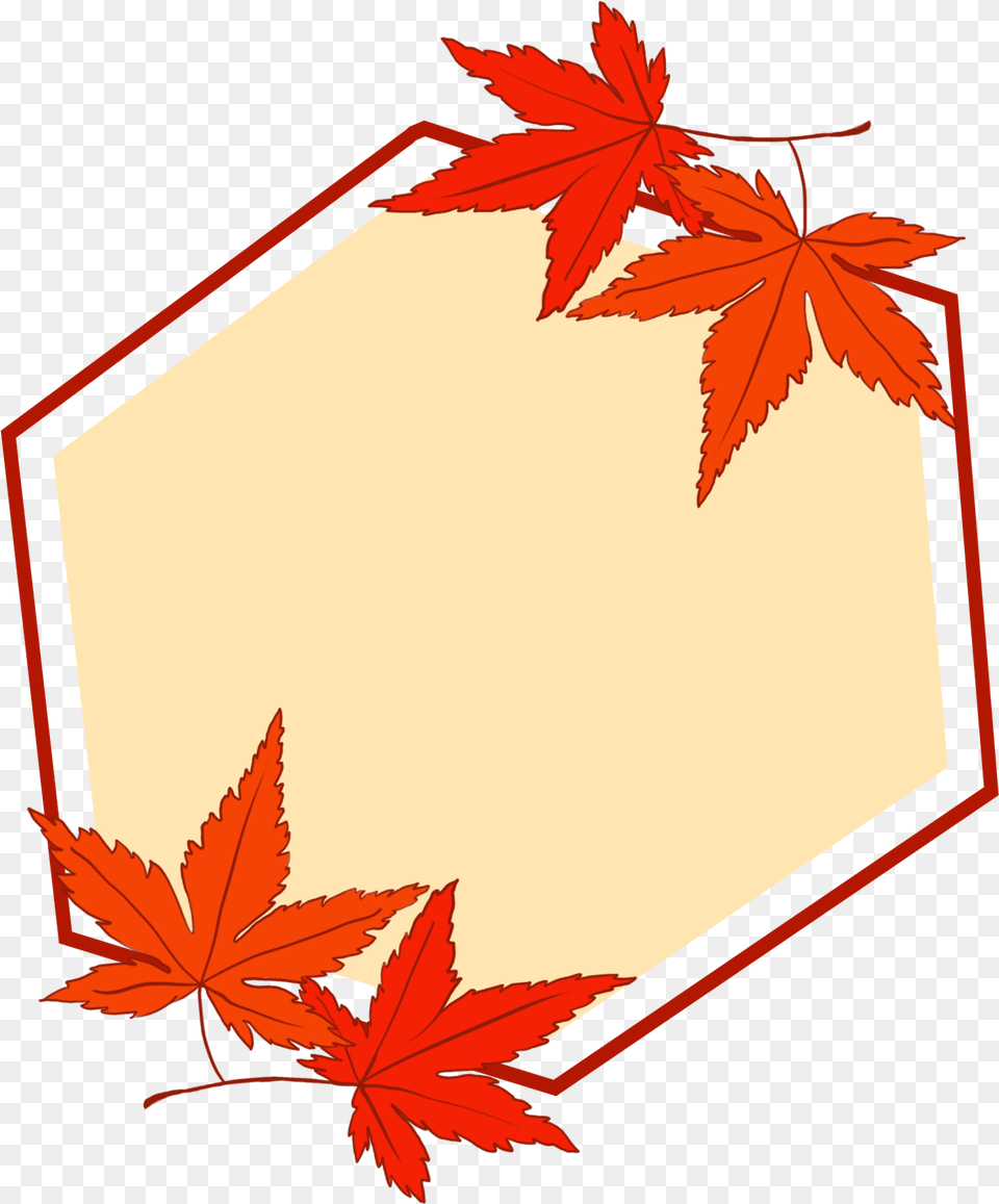 Maple Leaf, Plant, Tree, Maple Leaf Png Image
