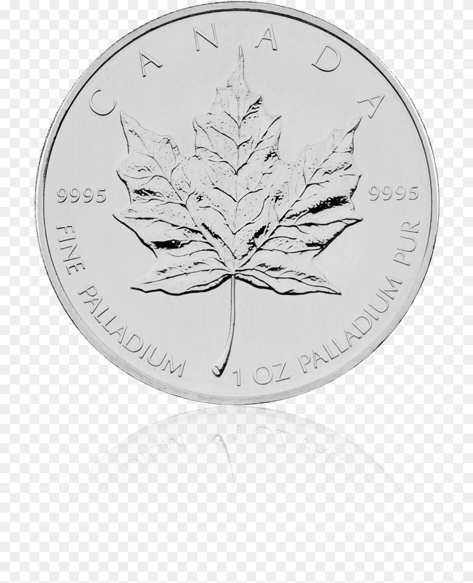 Maple Leaf, Plant, Silver, Coin, Money Free Png Download
