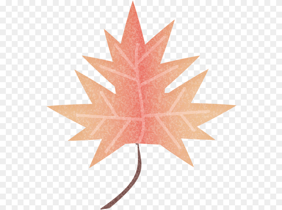 Maple Leaf, Plant, Tree, Maple Leaf Png