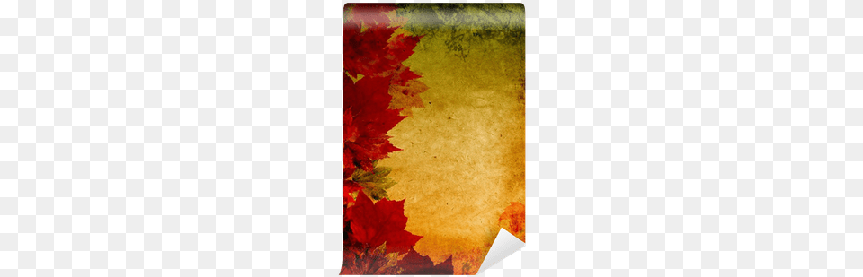 Maple Leaf, Plant, Tree, Maple Leaf Png