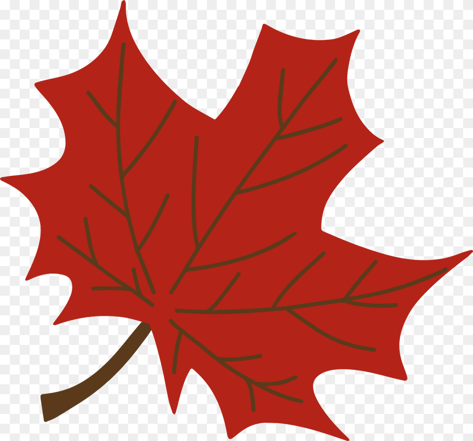 Maple Leaf, Maple Leaf, Plant, Tree, Person Free Png Download