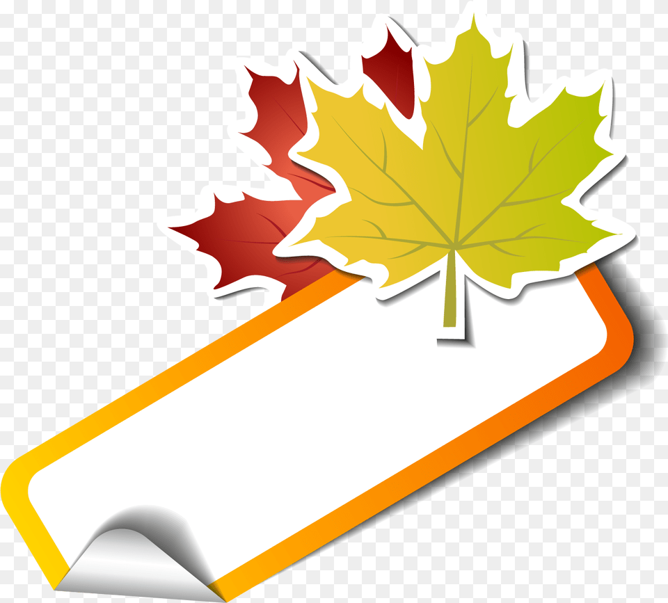 Maple Leaf, Plant, Maple Leaf, Tree Png