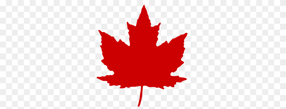 Maple Leaf, Plant, Maple Leaf, Tree, Animal Png