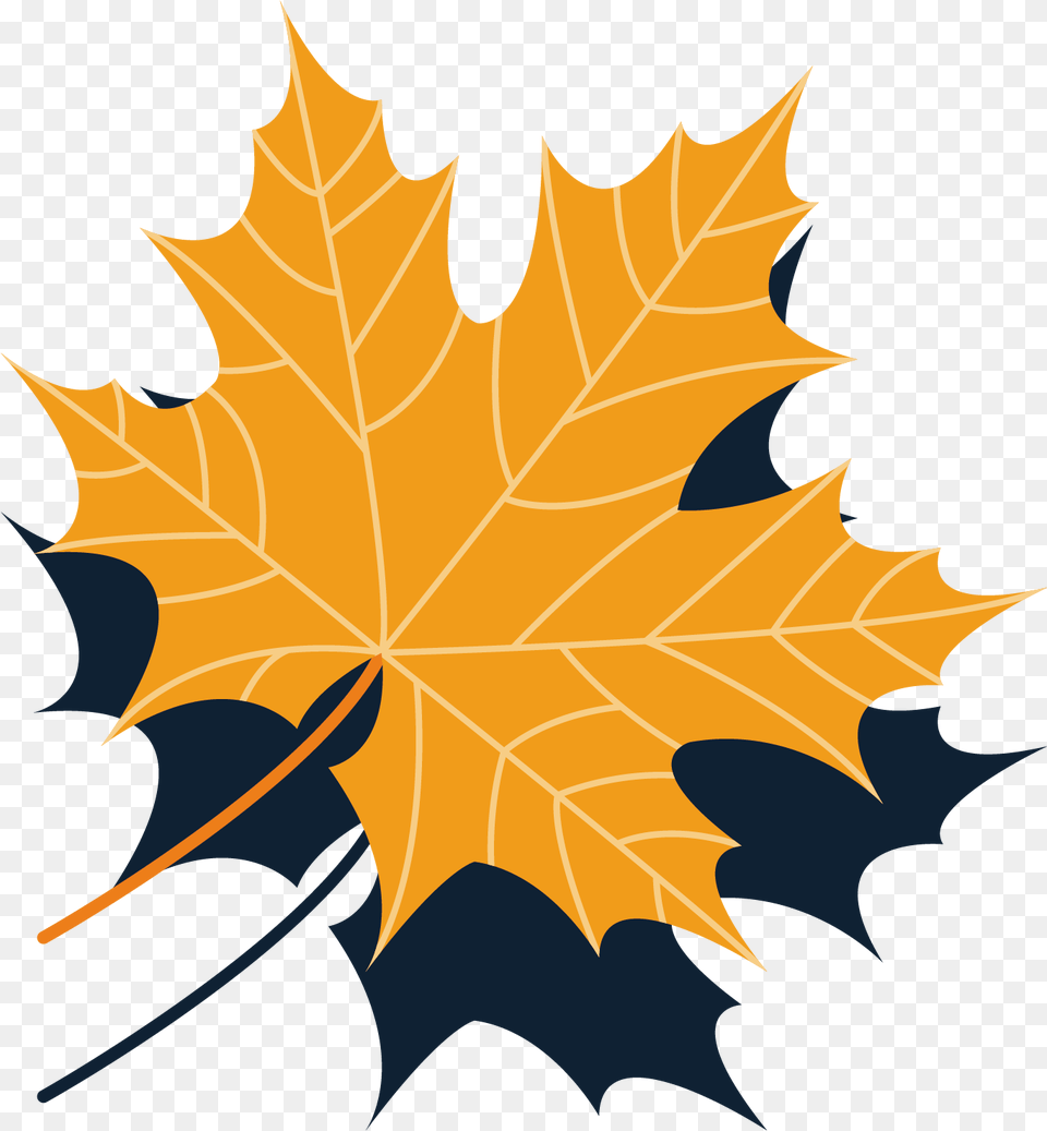 Maple Leaf Autumn Leaf, Maple Leaf, Plant, Tree, Person Png Image