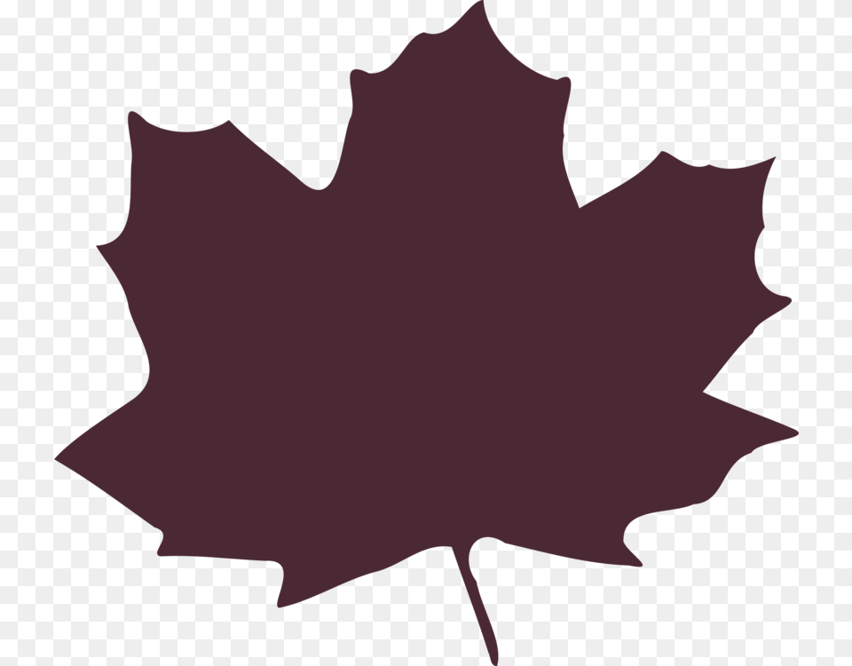 Maple Leaf Autumn Leaf Color, Maple Leaf, Plant, Person, Tree Free Png