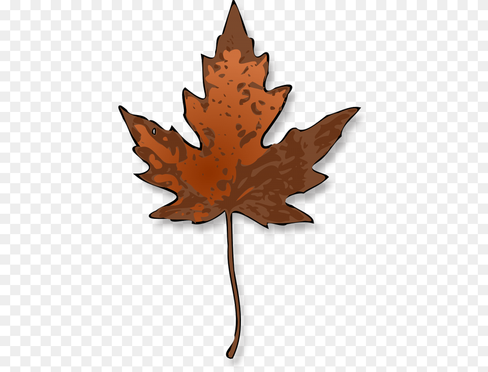 Maple Leaf Autumn Maple Leaf Clip Art, Maple Leaf, Plant, Tree, Baby Free Png Download