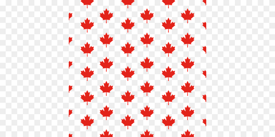 Maple Leaf Background Vector Maple Leaf Pattern, Plant Free Png