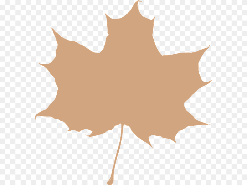 Maple Leaf Beige Silhouette Free Vector Graphic On Pixabay Maple Leaf Clip Art, Maple Leaf, Plant, Tree, Person Png