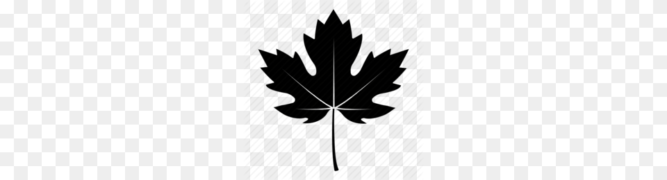 Maple Leaf Black And White Clipart, Plant, Tree, Maple Leaf Png Image