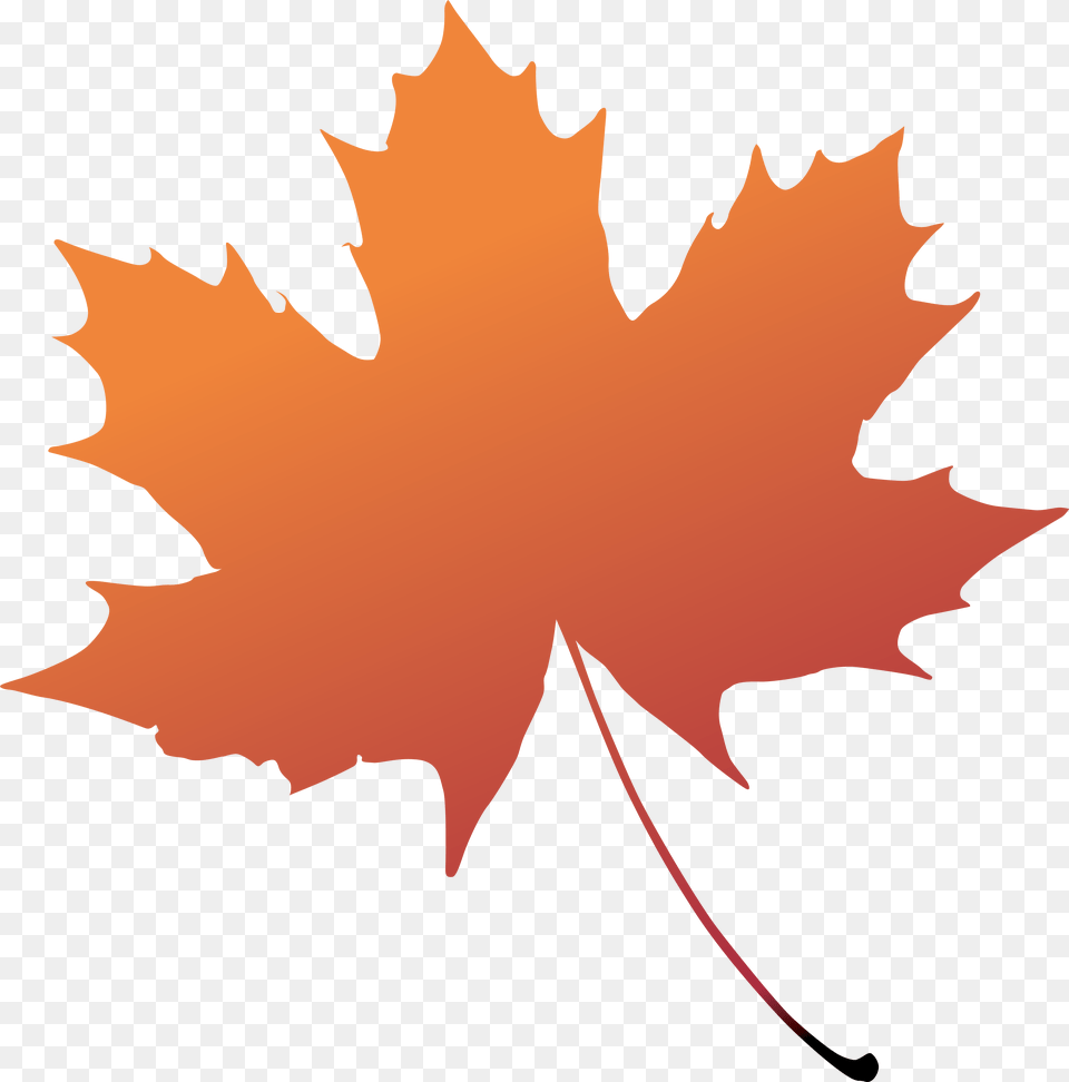 Maple Leaf Boxelder Tree Plant Background Maple Leaf, Maple Leaf, Person Free Transparent Png