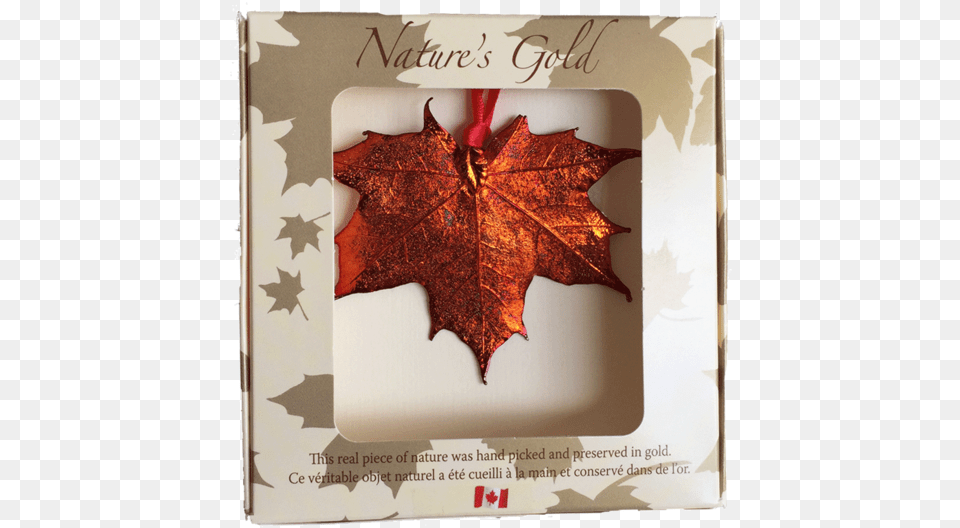 Maple Leaf Brooch Copper Made In Canada Gifts Gold Maple Leaf Pendant Canada, Plant, Tree, Maple Leaf Free Transparent Png