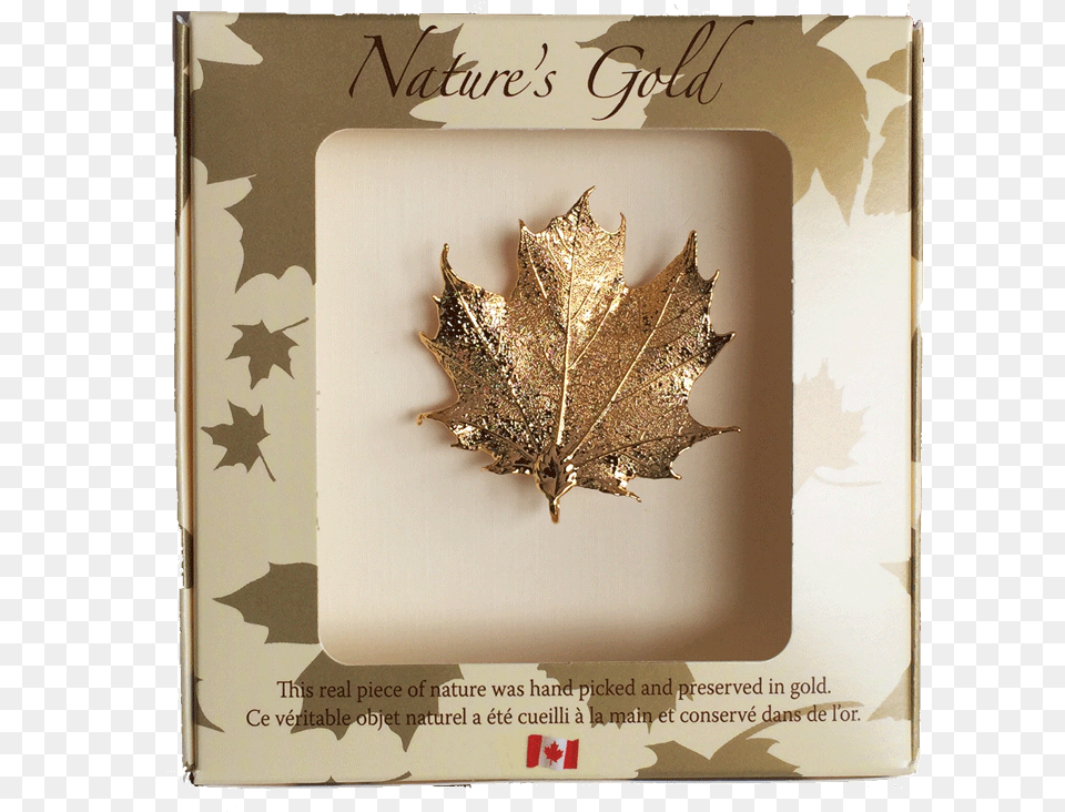 Maple Leaf Brooch Gold Brooch Canadian Maple Leaf, Plant, Tree, Maple Leaf Free Png Download