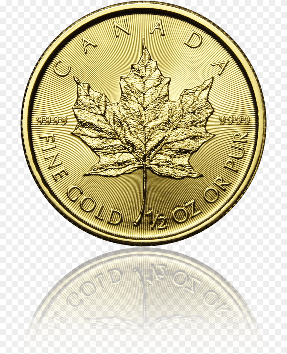 Maple Leaf Canada 12 Oz Gold Coin Maple Leaf 1 2 Oz, Plant, Wristwatch, Money Free Png Download