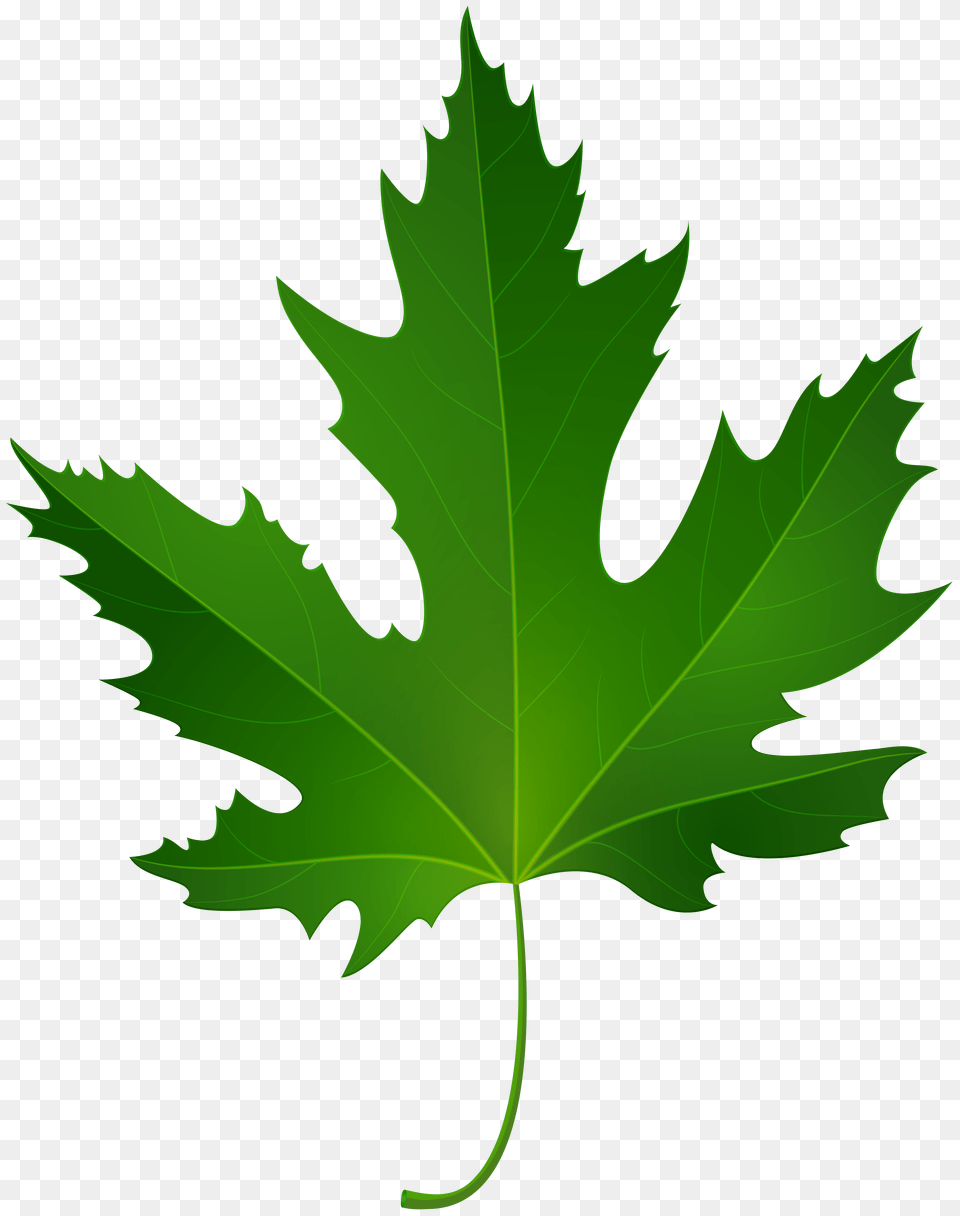 Maple Leaf Clip Art, Plant, Tree, Cross, Symbol Free Transparent Png