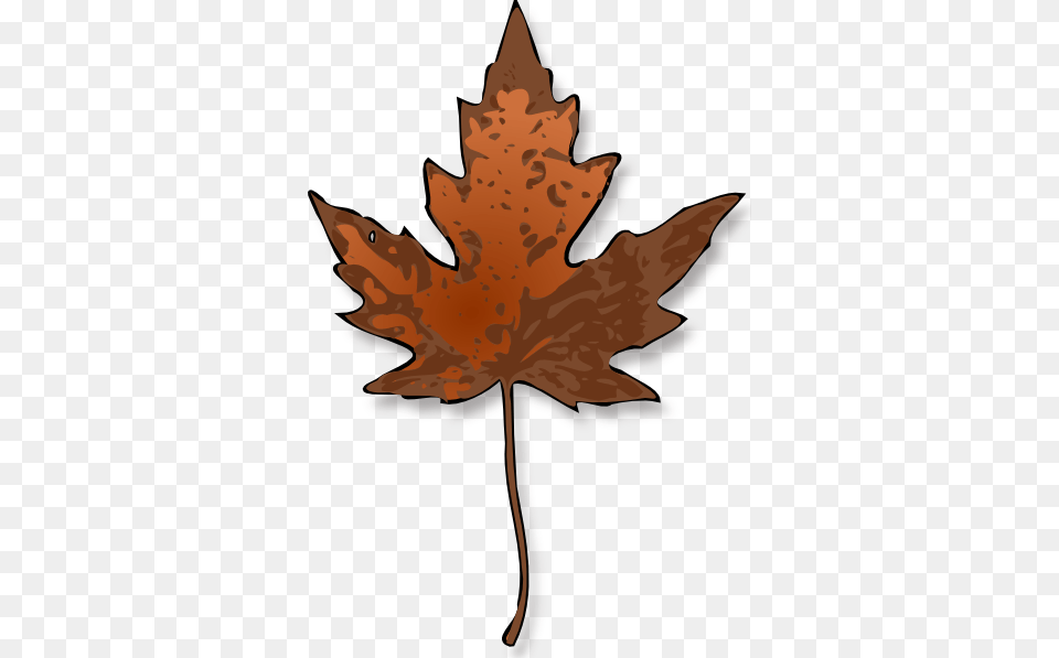 Maple Leaf Clip Art, Maple Leaf, Plant, Tree, Animal Png Image