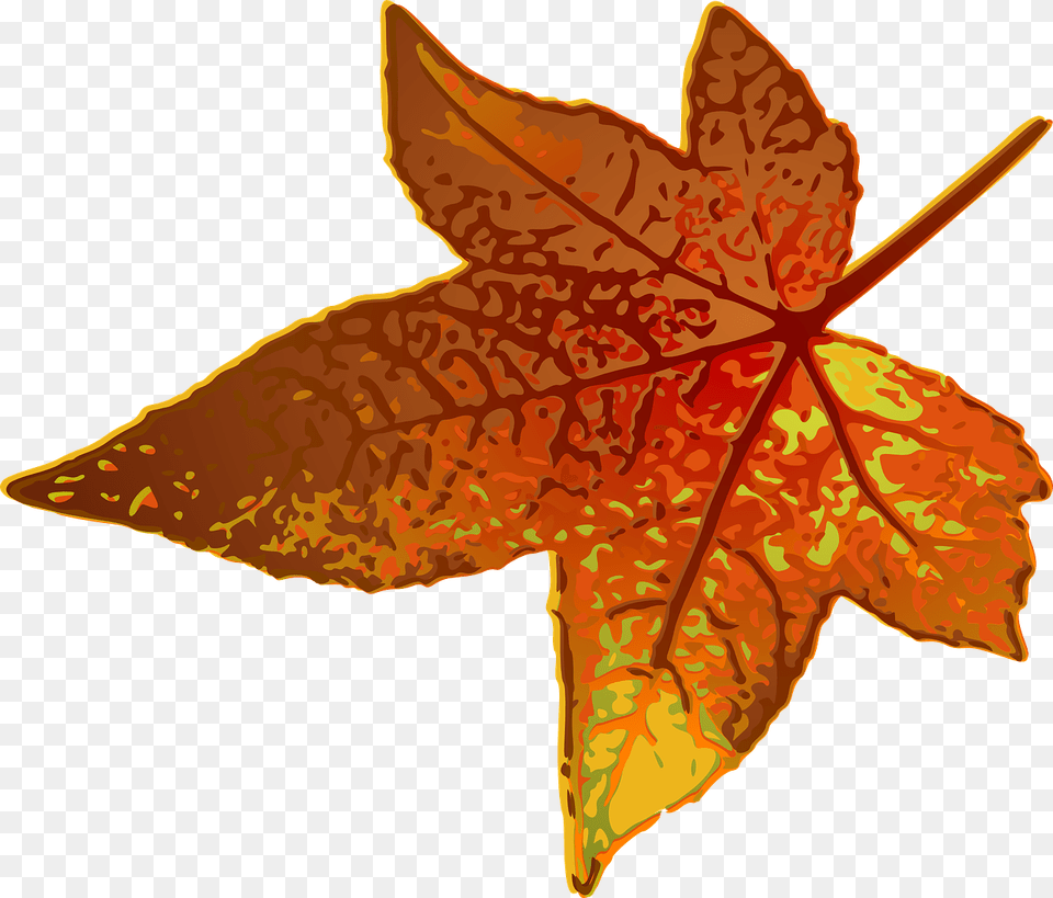 Maple Leaf Clip Art, Plant, Tree, Maple Leaf, Animal Free Transparent Png