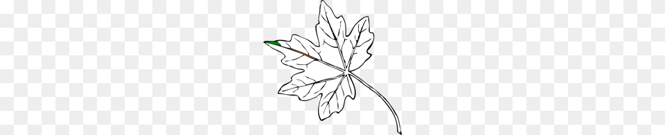 Maple Leaf Clip Art For Web, Maple Leaf, Plant, Tree, Person Free Transparent Png