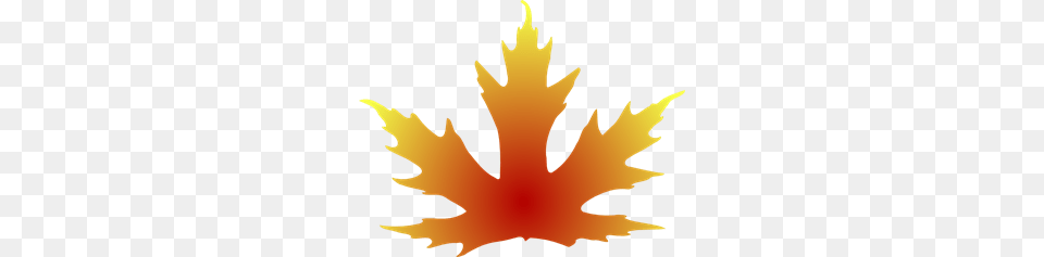 Maple Leaf Clip Art For Web, Plant, Maple Leaf, Person Png Image