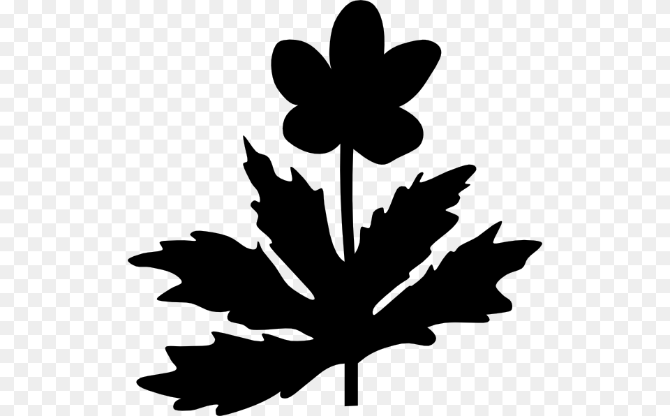 Maple Leaf Clip Art Silhouette Flower Maple Leaf, Gray Png Image
