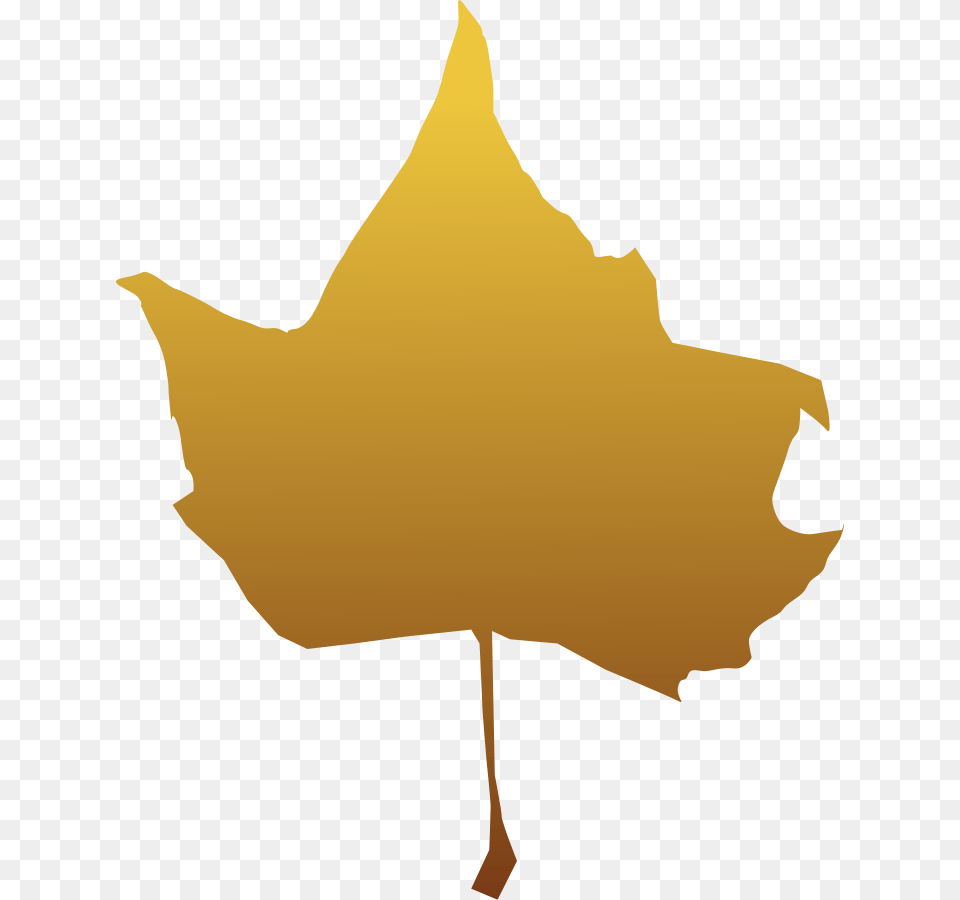Maple Leaf Clip Arts For Web, Plant, Maple Leaf, Person, Tree Png