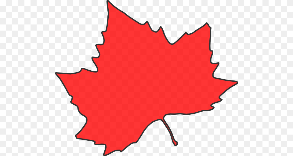 Maple Leaf Clipart, Maple Leaf, Plant, Tree Png Image