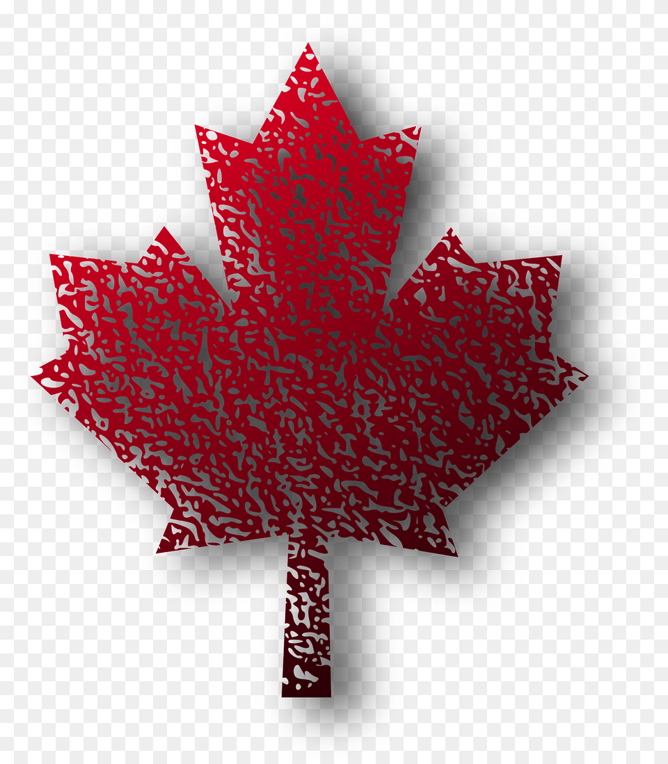 Maple Leaf Clipart, Plant, Tree Free Png