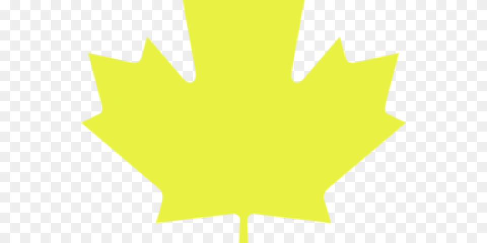 Maple Leaf Clipart 5 Leave Real North American Flag, Plant, Maple Leaf Free Transparent Png