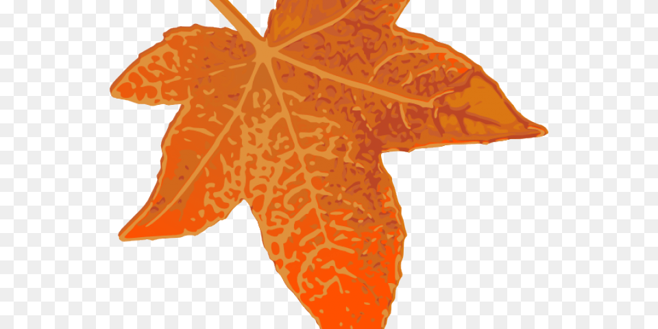Maple Leaf Clipart 7 Leaves Maplestory F5 Transparent Background, Plant, Tree, Maple Leaf Png Image