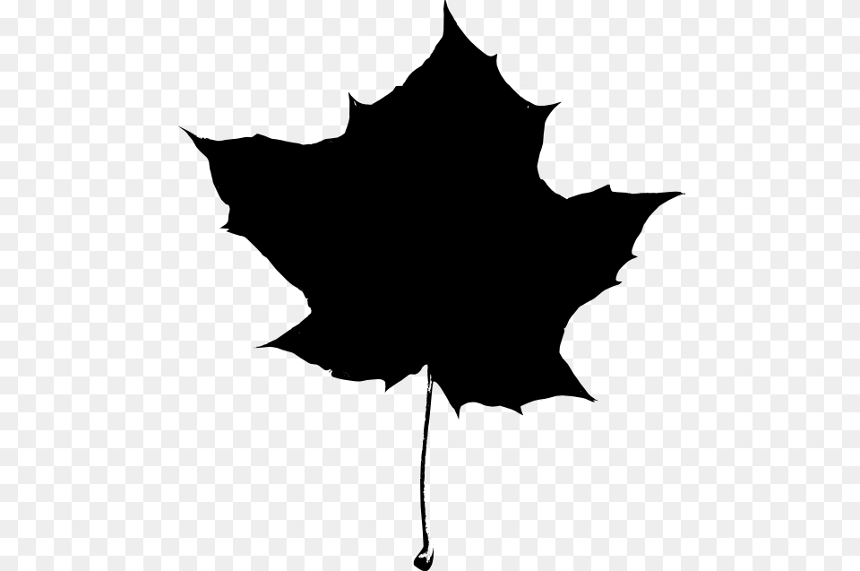 Maple Leaf Clipart Black And White, Plant, Maple Leaf, Silhouette, Animal Free Png