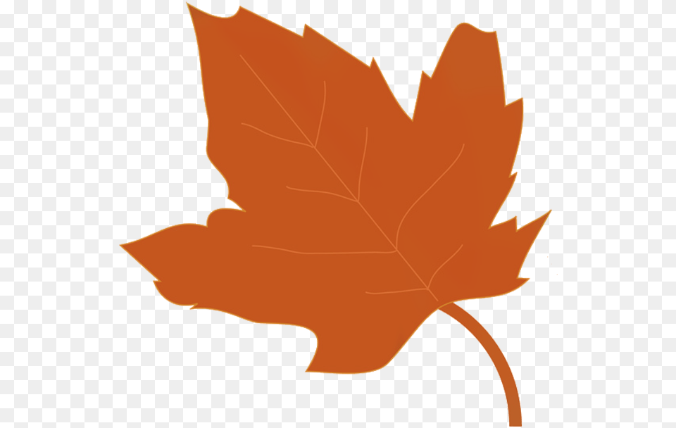 Maple Leaf Clipart Brown Maple Autumn Leaf Clipart, Maple Leaf, Plant, Tree, Person Free Transparent Png