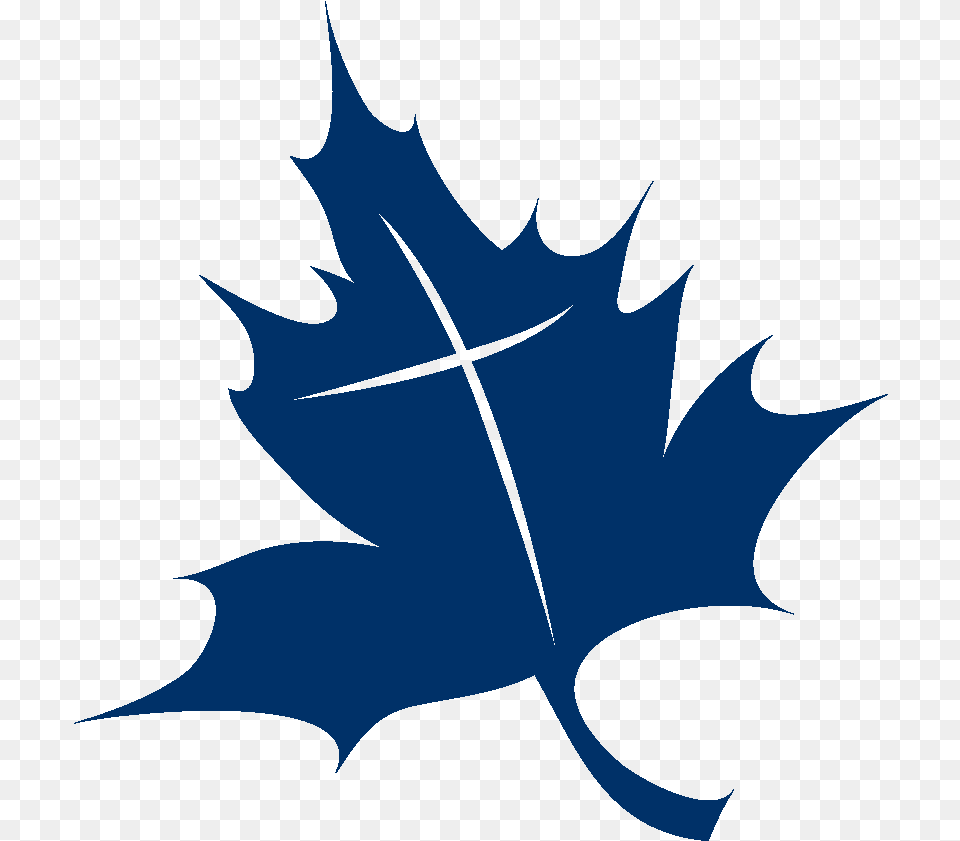 Maple Leaf Clipart Download Maple Leaf, Plant, Maple Leaf, Person Png