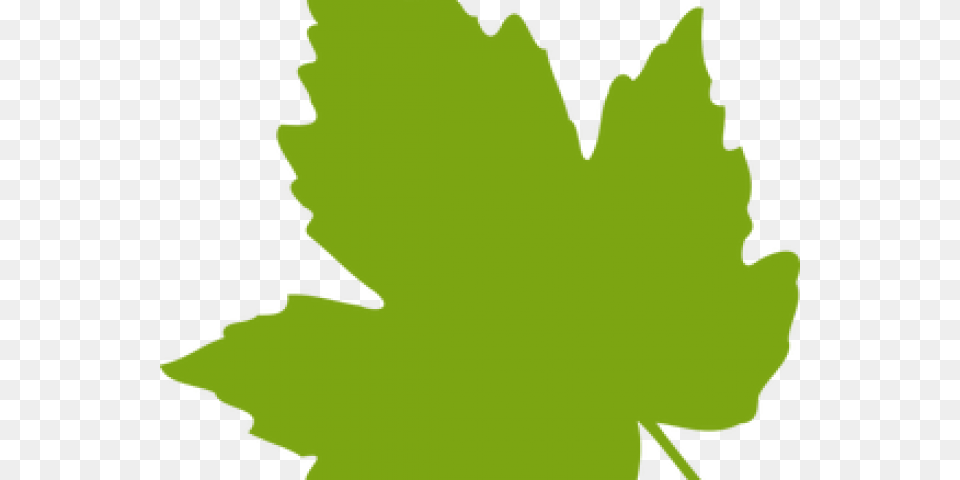 Maple Leaf Clipart Dry Leaf Clip Art Grape Leaves, Plant, Maple Leaf, Person, Face Png
