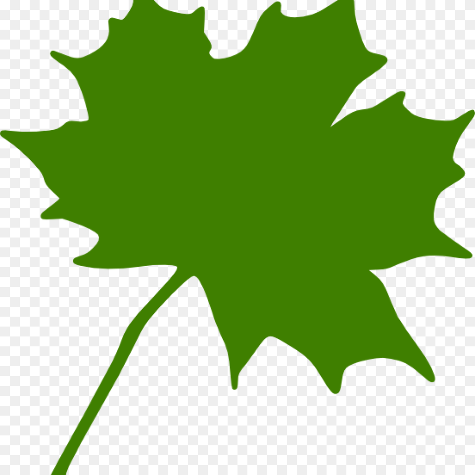 Maple Leaf Clipart Fall Clipart House Clipart Online Download, Maple Leaf, Plant, Tree, Person Png