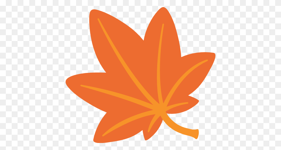 Maple Leaf Clipart Google, Plant, Animal, Fish, Sea Life Free Png Download