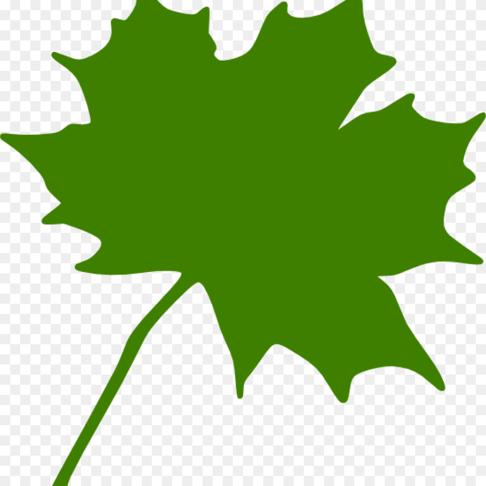 Maple Leaf Clipart Green Maple Leaf Clipart Clipart Canadian Leaf Clip Art, Maple Leaf, Plant, Tree, Person Free Transparent Png