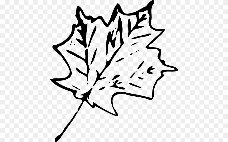 Maple Leaf Clipart Leaf Outline, Maple Leaf, Plant, Baby, Person Png
