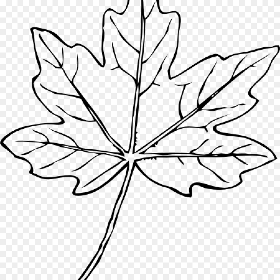 Maple Leaf Clipart Maple Leaf Clip Art At Clker Vector Grape Leave Clipart Black And White, Gray Free Transparent Png